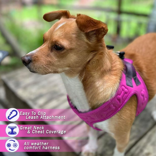 Comfort Fit Dog Harness Soft Padded No Pull Harness with Adjustable Buckles for Small Medium Large Dogs Step in Pet Vest with Easy Control Handle for Walking Jogging Running Training Dogs & Puppies