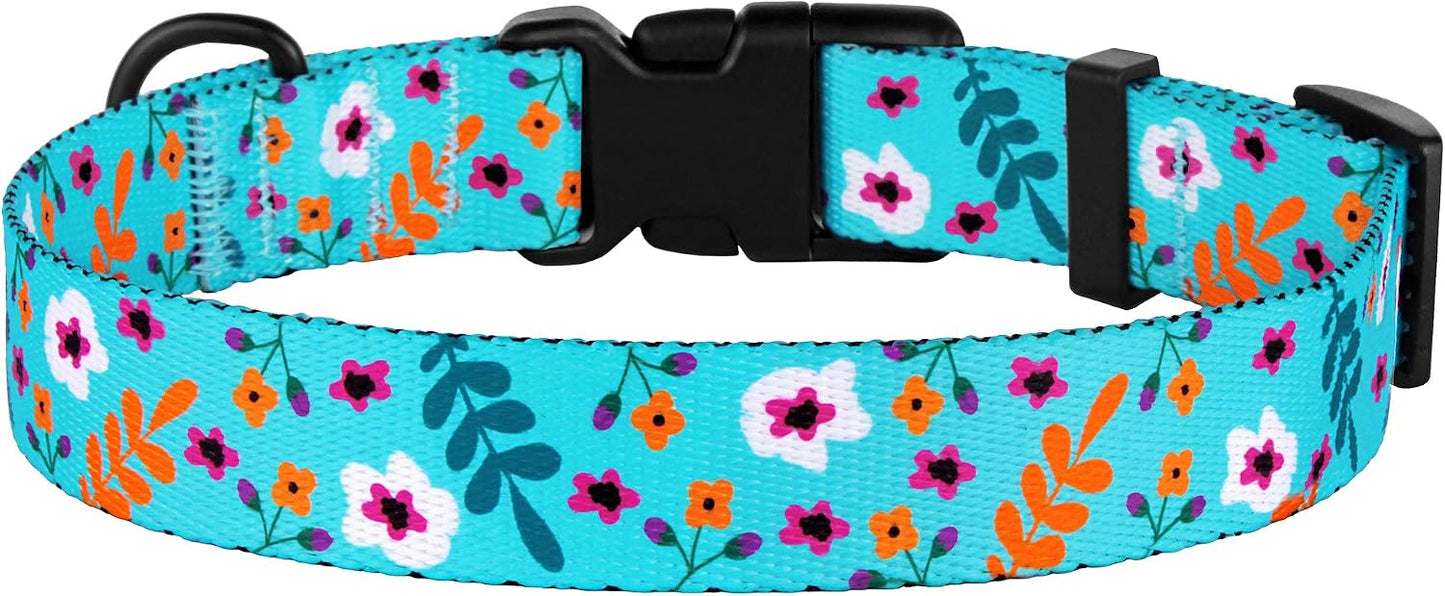 CollarDirect Floral Dog Collar Nylon Pattern Flower Print Adjustable Pet Collars for Dogs Small Medium Large Puppy (Neck Fit 18"-26", Aquamarine)