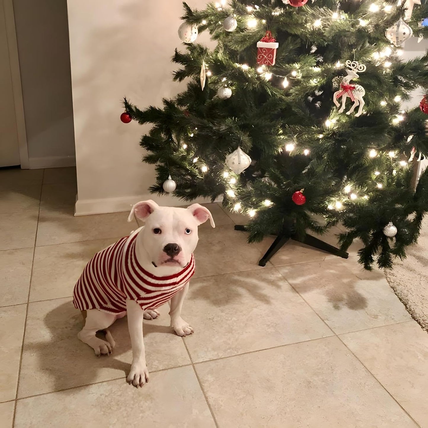 NACOCO Santa Claus Pet Sweater Dog Sweaters Cold Weather Outfit for Small to Medium Sized Dogs and Cats for Christmas Day (Santa Claus, X-Large)