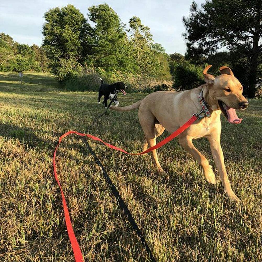 Leashboss Extra Long Dog Leash - Long Lead Leash for Dog Training - Recall Leash for Dogs Outside 30 Foot Black