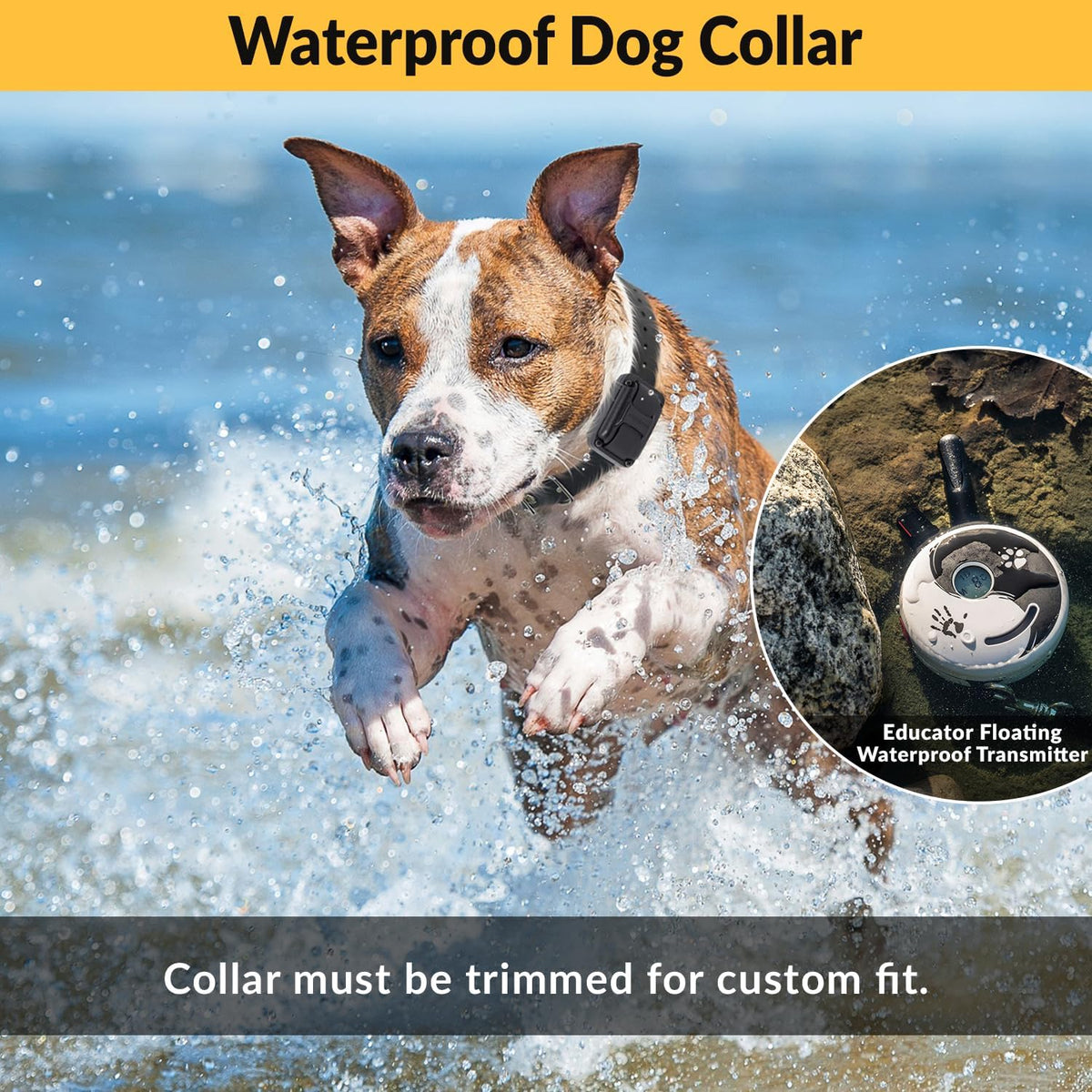 E-Collar Mini Educator ET-300 Remote Dog Training Collar, ZEN | 1/2 Mile Range, Waterproof & Rechargeable, 100 Levels + Vibration + Tone + Light, For 1 Dog Small to Medium