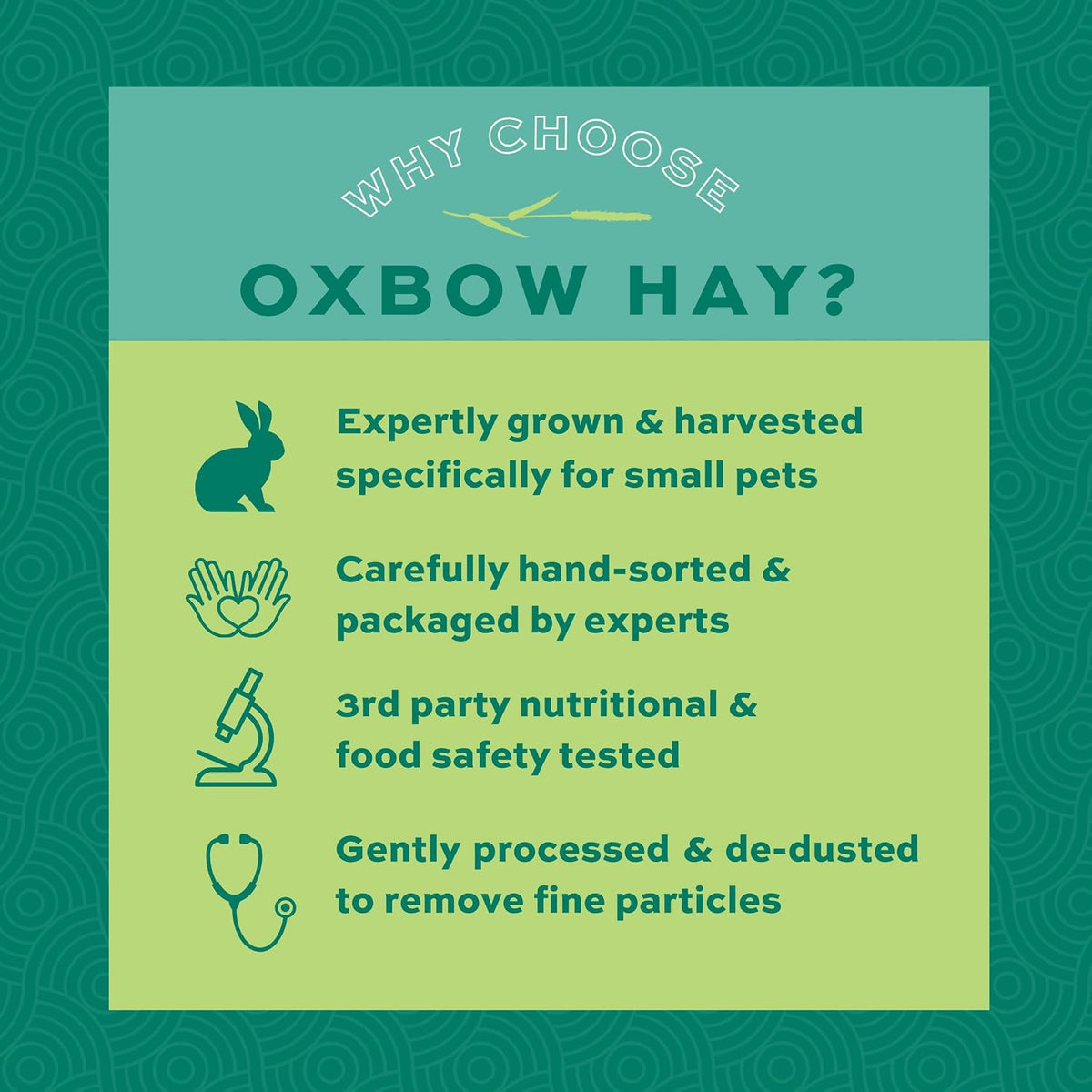 Oxbow Western Timothy Hay, Guinea Pig Hay, Small Pet Bunny Supplies, All Natural Grass for Guinea Pig, Bunny, Chinchilla & Hamster, Oxbow Rabbit Supplies for Bunnies, 9 lb box