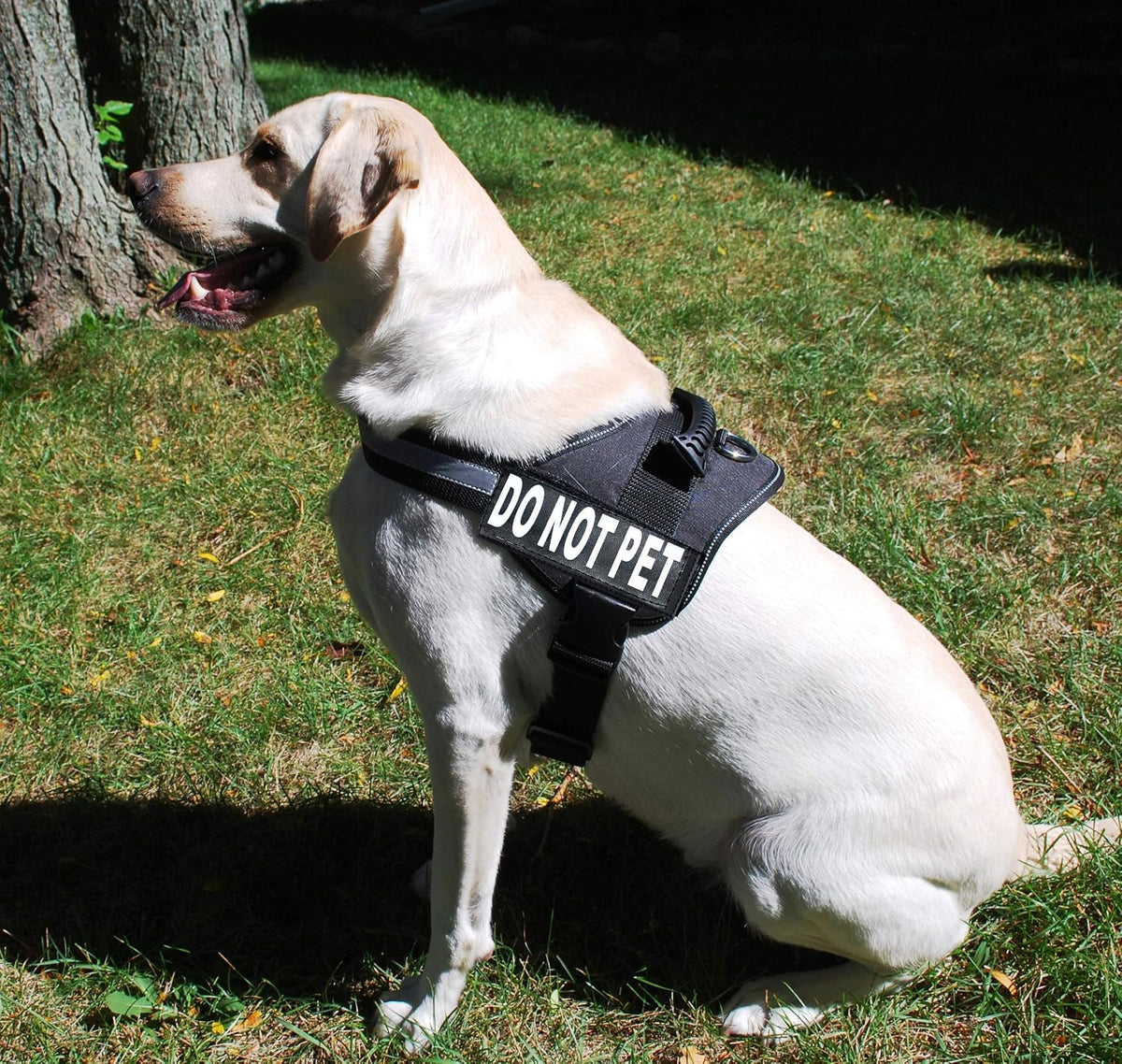 DO NOT PET Dog Vest Harness with Removable Patches and Reflective Trim. Comes with 2 DO NOT PET Reflective Removable Patches. Please Measure Dogs Girth Before Purchase