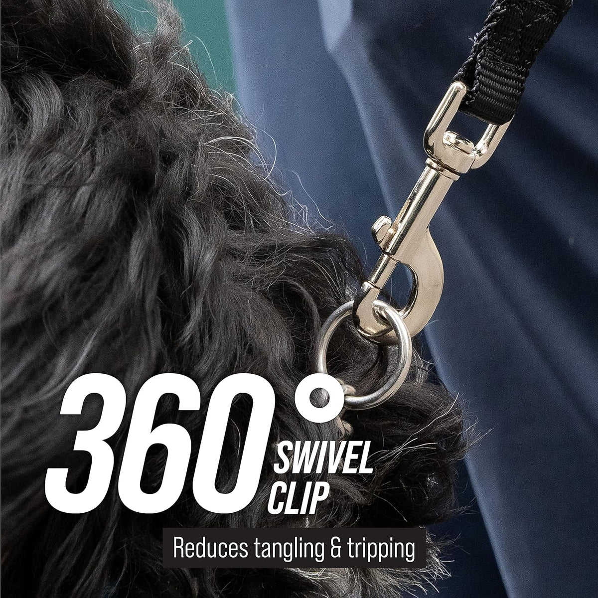 Leash Boss Long Trainer - 1 Inch Nylon Long Dog Training Leash with Storage Strap (15 Ft, Black)