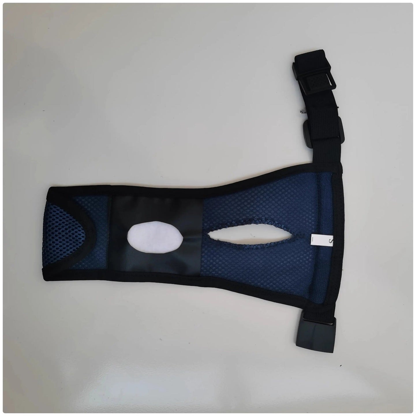 Breathable Female Dog Period Pants - Reusable Sanitary Underwear with Disposable Pads