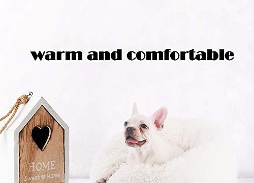 Modern Soft Plush Round Pet Bed for Cats or Small Dogs, Mini Medium Sized Dog Cat Bed Self Warming Autumn Winter Indoor Snooze Sleeping Cozy Kitty Teddy Kennel (20''D x 8'' H, Dark Grey)