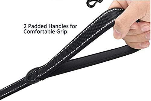 Heavy Duty Dog Leash - 2 Handles by Padded Traffic Handle for Extra Control, 6foot Long - Perfect for Medium to Large Dogs (6 ft, Black)