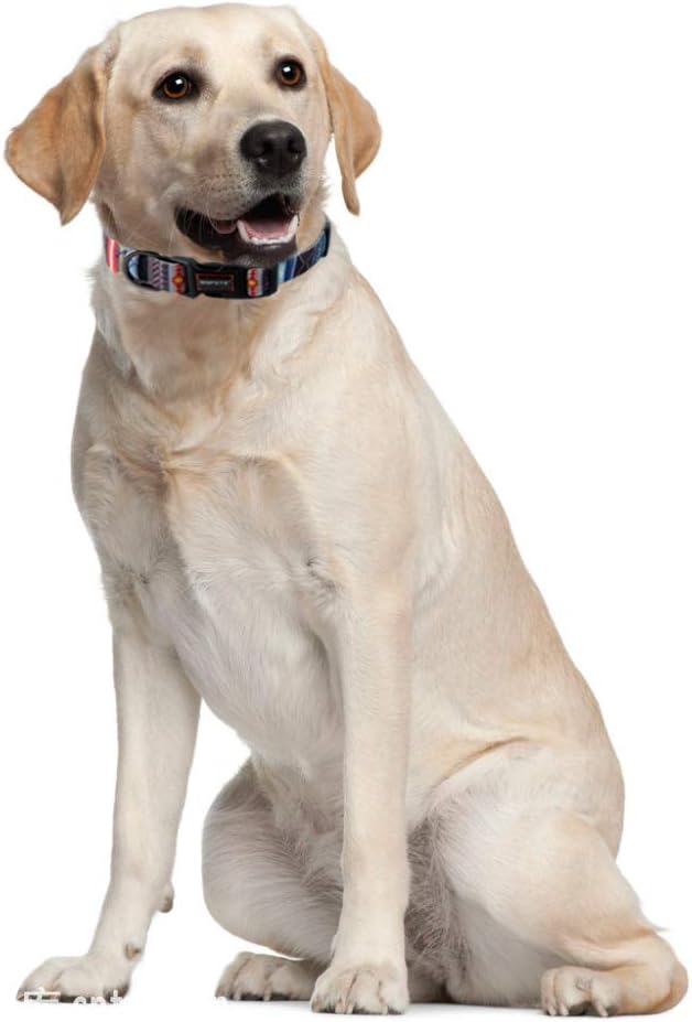 QQPETS Adjustable Soft Dog Collar: Print Flower Pink Multicolor Cute Patterns for XS Small Medium Large Pet Girl Boy Puppy Walking Running Training