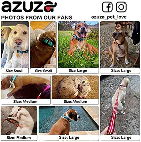 azuza Durable Padded Dog Leash and Collar Set,Reflective Strip Extra Safe and Comfy for Medium Dogs,Blue