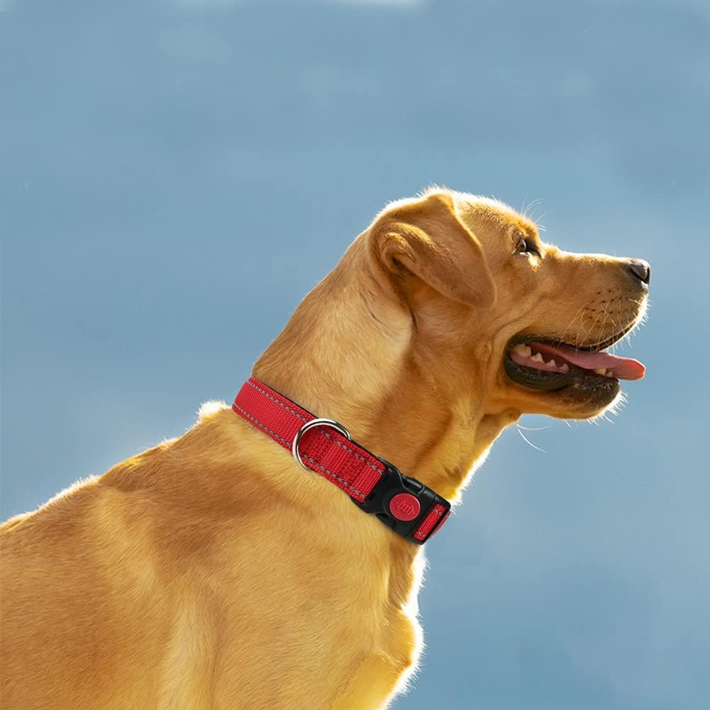 Taglory Reflective Dog Collar with Safety Locking Buckle, Adjustable Nylon Pet Collars for Puppy Small Medium Large and Extra Large Dogs