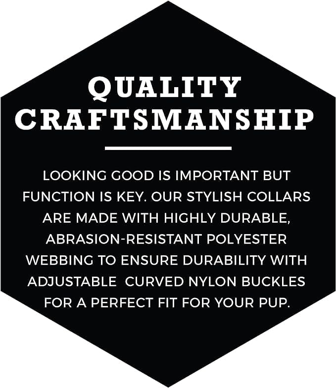 Wolfgang Heavy Duty, Adjustable Dog Collar with Quick Release Nylon Buckle for Walking & Training, SunsetPalms Print, Medium