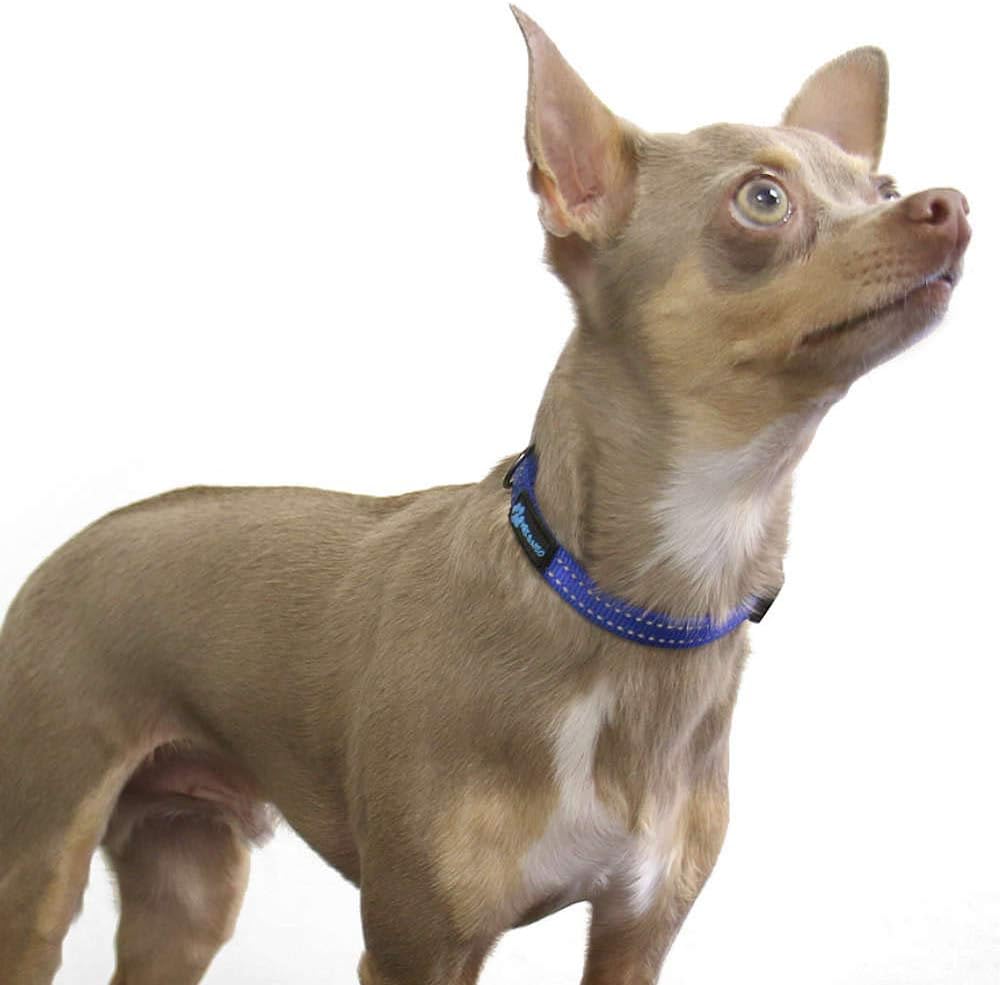 Max and Neo NEO Nylon Buckle Reflective Dog Collar - We Donate a Collar to a Dog Rescue for Every Collar Sold