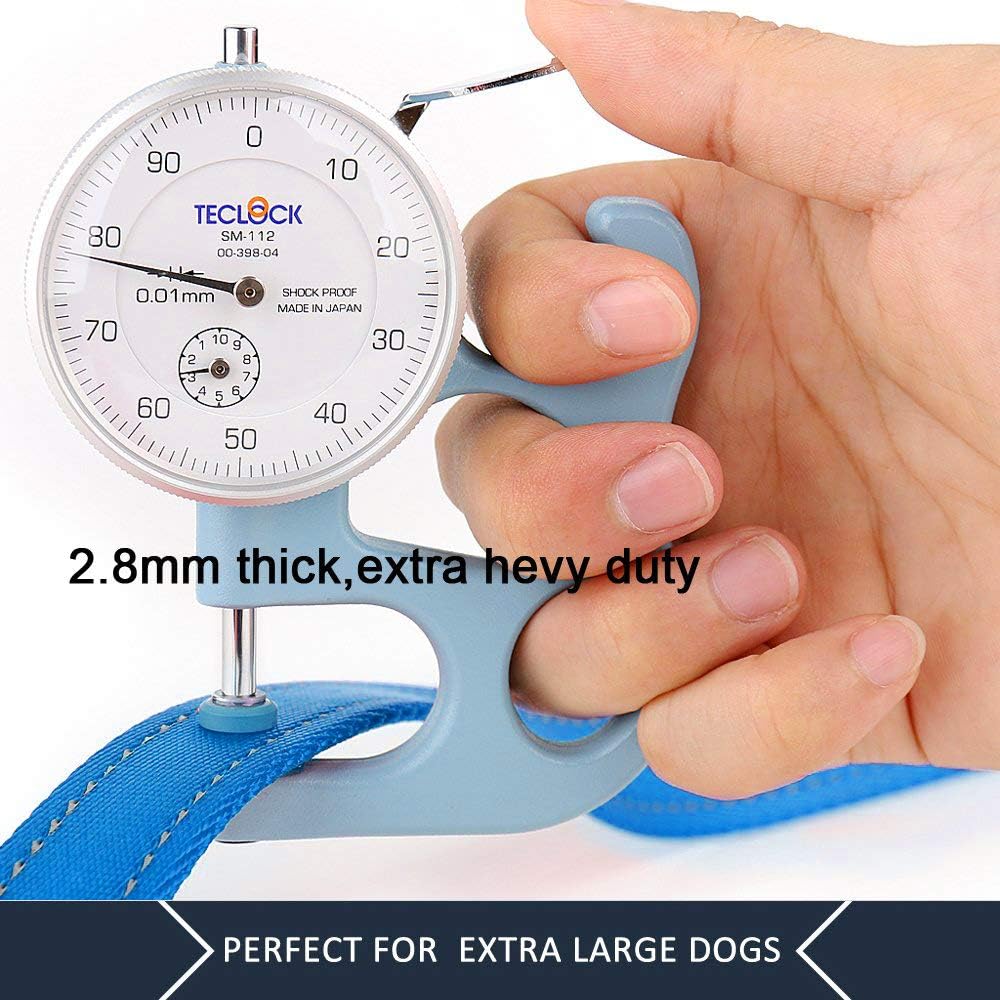 Plutus Pet Dog Leash 6ft Long,Traffic Padded Two Handle,Heavy Duty,Reflective Double Handles Lead for Control Safety Training,Leashes for Large Dogs or Medium Dogs,Dual Handles Leads(Light Blue)