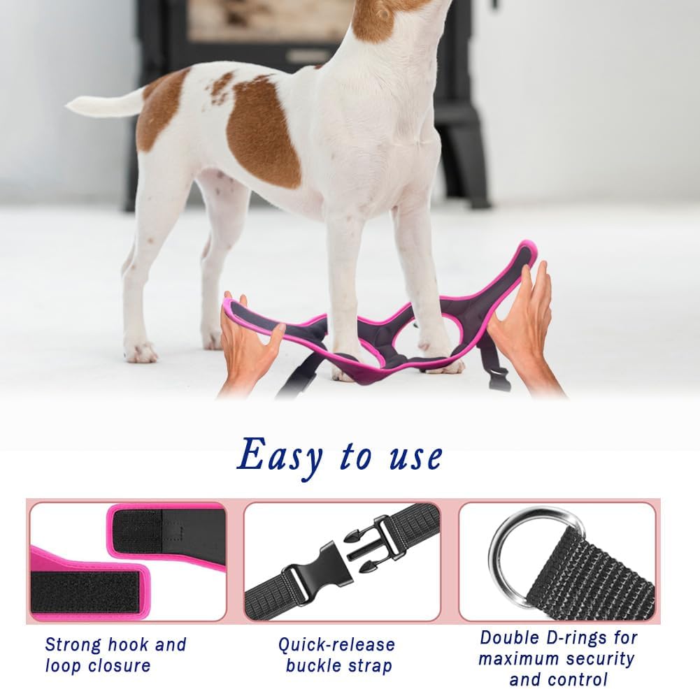 Comfort Fit Dog Harness Soft Padded No Pull Harness with Adjustable Buckles for Small Medium Large Dogs Step in Pet Vest with Easy Control Handle for Walking Jogging Running Training Dogs & Puppies