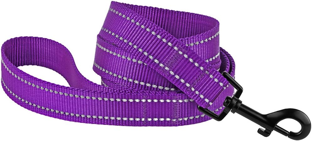CollarDirect Dog Leash Durable Pet Leash for Walking Training Running for Small, Medium and Large (Reflective, Purple, L)