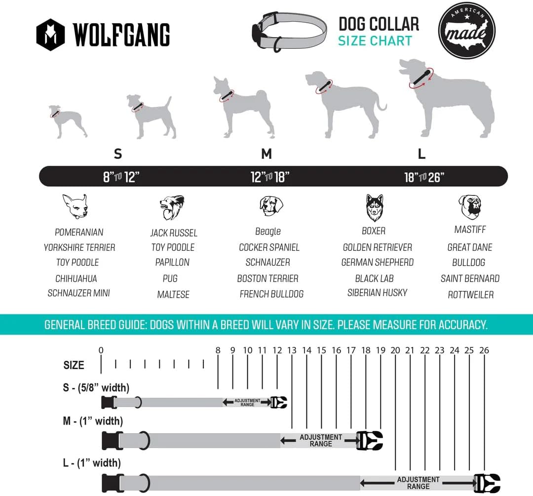 Wolfgang Heavy Duty, Adjustable Dog Collar with Quick Release Nylon Buckle for Walking & Training, SunsetPalms Print, Medium