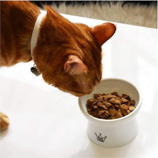 Necoichi Raised Stress Free Cat Food Bowl, Elevated, Backflow Prevention, Dishwasher and Microwave Safe (Cupcake, Regular)