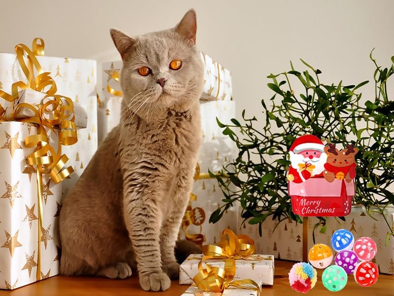 25 Pack Christmas Cat Toy, Kitten Toy Bag Set Assorted with Cat Spring Toy, Cat Ball Toy, Crinkle Cat Toy, Mouse for Cats Interactive Play