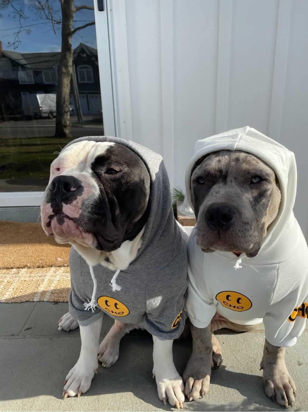 ChoChoCho Smiley Dog Hoodie Stylish Dog Clothes Smiley Face Sweater Cotton Sweatshirt Fashion Outfit for Dogs Cats Puppy Small Medium Large (L, White)