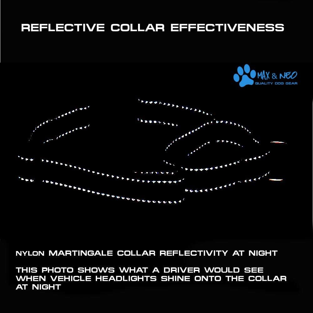 Max and Neo Nylon Martingale Collar - We Donate to a Dog Rescue for Every Collar Sold (Medium, Orange)
