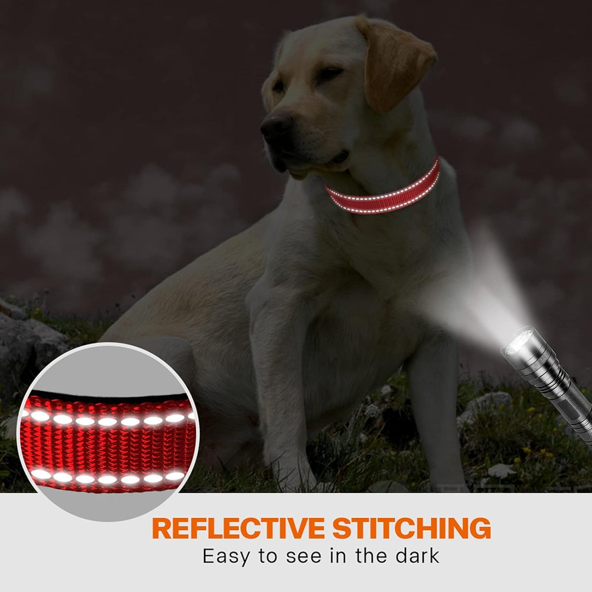 Taglory Reflective Dog Collar with Safety Locking Buckle, Adjustable Nylon Pet Collars for Puppy Small Medium Large and Extra Large Dogs