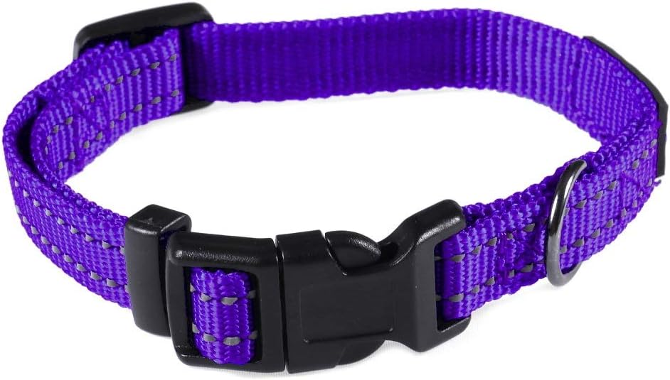 Max and Neo NEO Nylon Buckle Reflective Dog Collar - We Donate a Collar to a Dog Rescue for Every Collar Sold