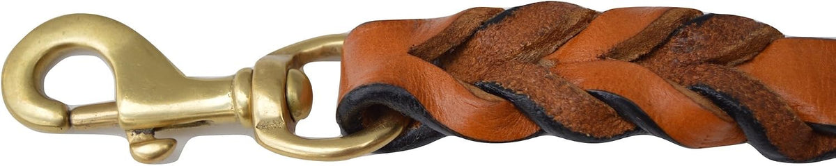 Leather Braided Dog Leash, Tan with Teal Padded Handle, 6ft x 3/4" Inch Wide, Made with Full Grain Genuine Leather