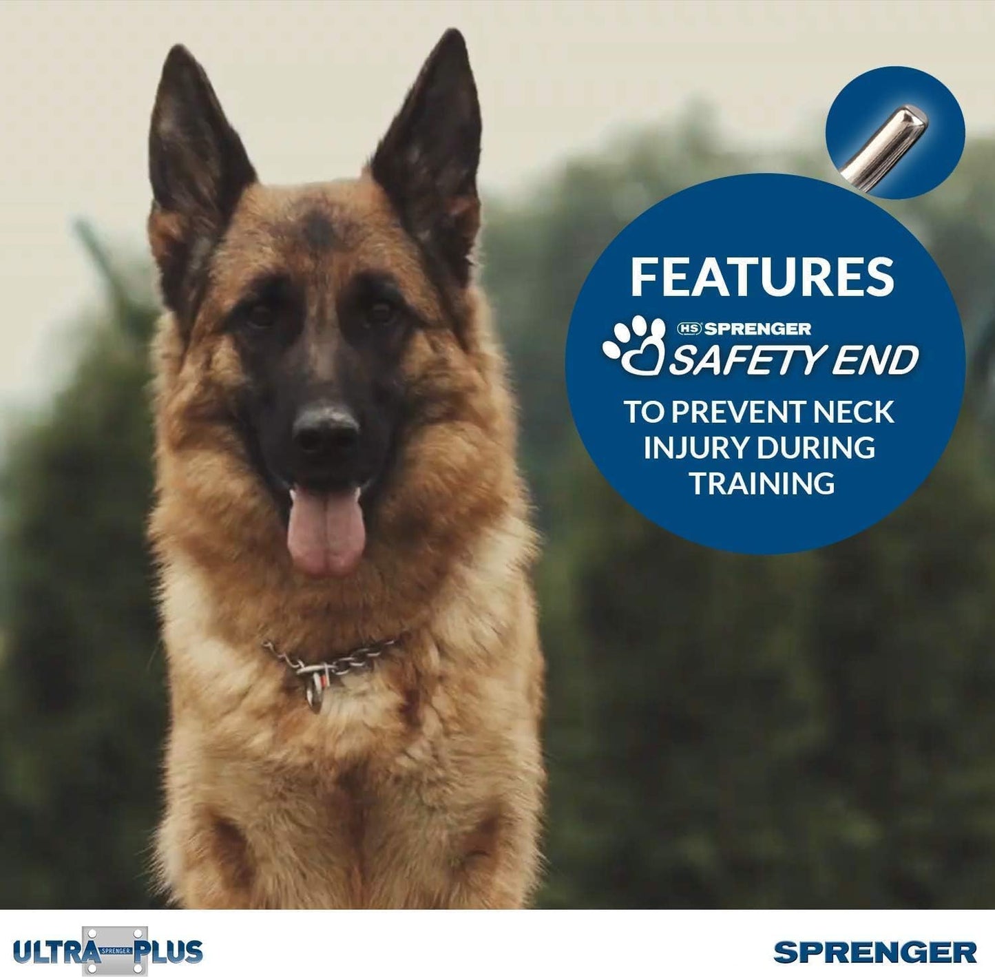Herm Sprenger Chrome Plated Steel Training Prong Collar with Quick Release Snap for Dogs, 23in (58cm) x 3.2mm, (Neck Size UP to 19 inches)