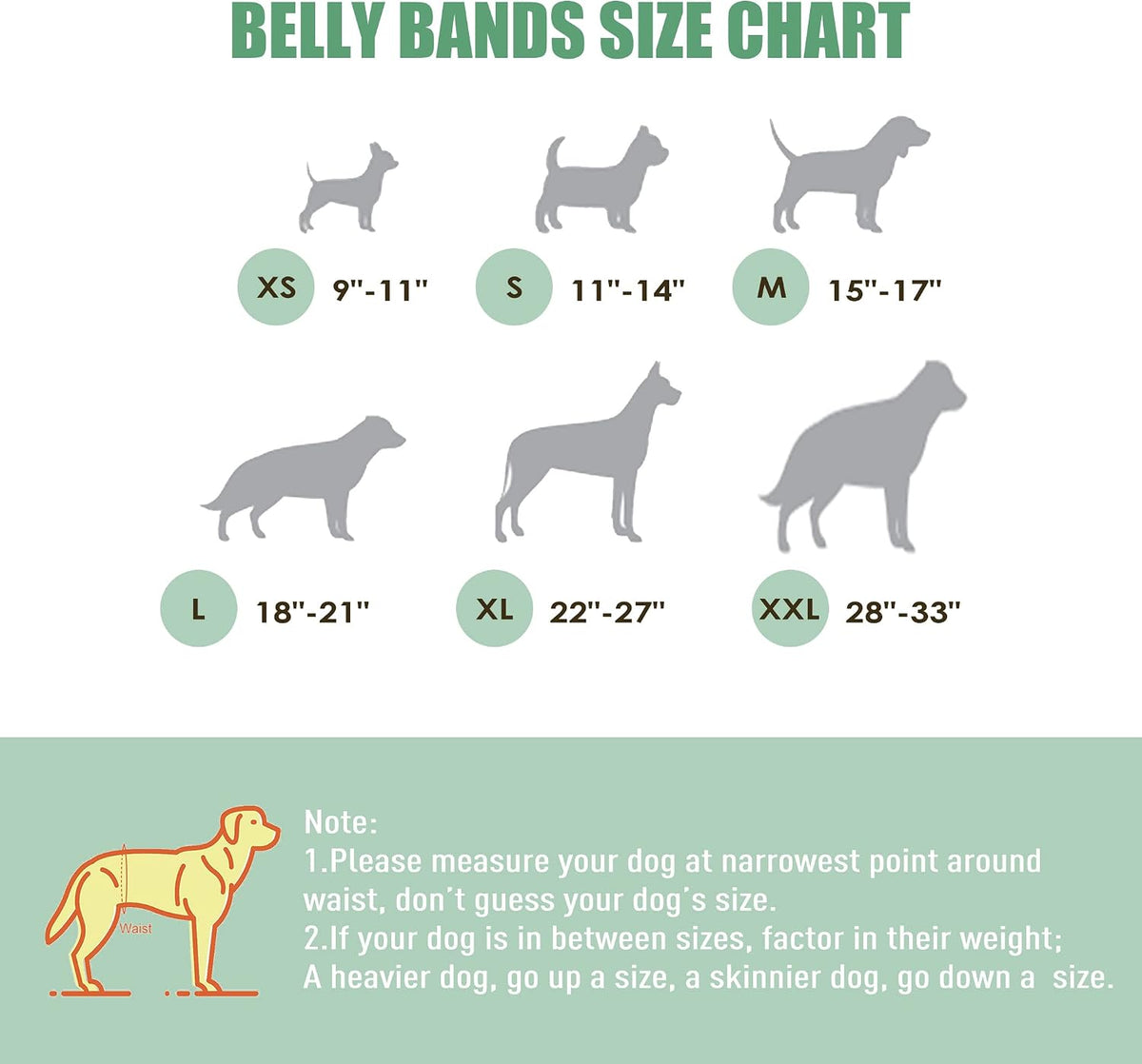 Wegreeco Washable Male Dog Belly Band (Stylish Pattern)- Pack of 3 - Washable Male Dog Belly Wrap, Dog Diapers Male (XS, Magic)