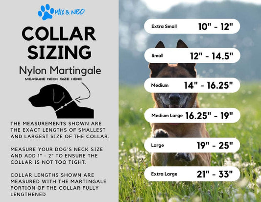 Max and Neo Nylon Martingale Collar - We Donate a Collar to a Dog Rescue for Every Collar Sold (Large, Blue)