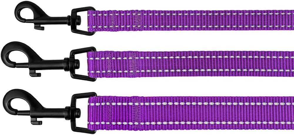 CollarDirect Dog Leash Durable Pet Leash for Walking Training Running for Small, Medium and Large (Reflective, Purple, L)