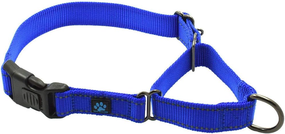 Max and Neo Nylon Martingale Collar - We Donate a Collar to a Dog Rescue for Every Collar Sold (Large, Blue)