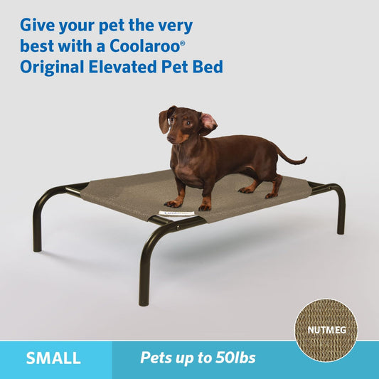 Coolaroo The Original Cooling Elevated Pet Bed, Small, Nutmeg
