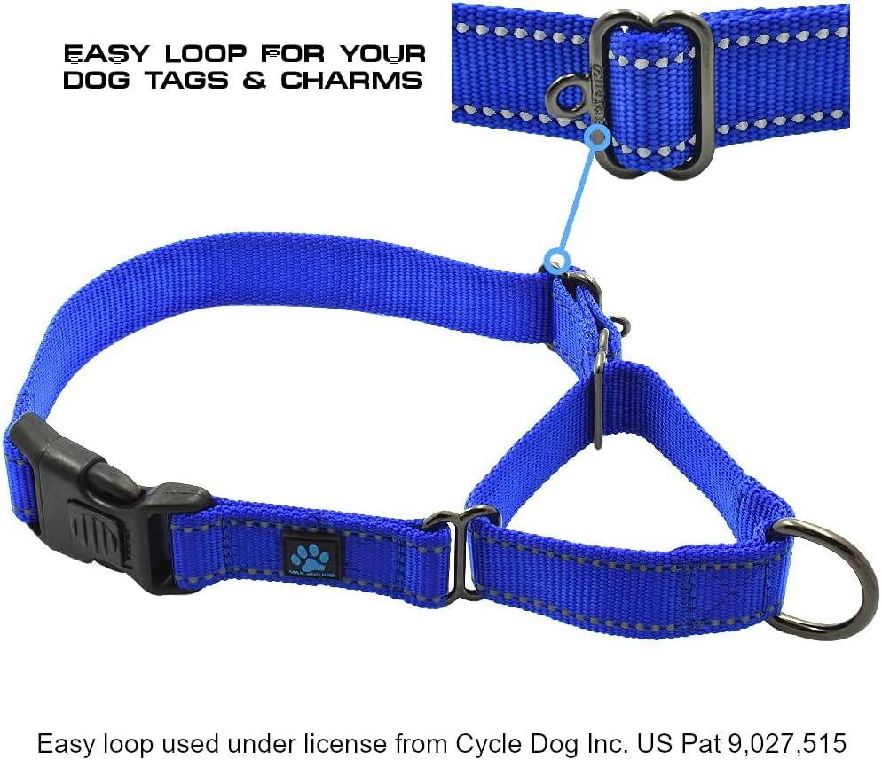 Max and Neo Nylon Martingale Collar - We Donate to a Dog Rescue for Every Collar Sold (Medium, Orange)