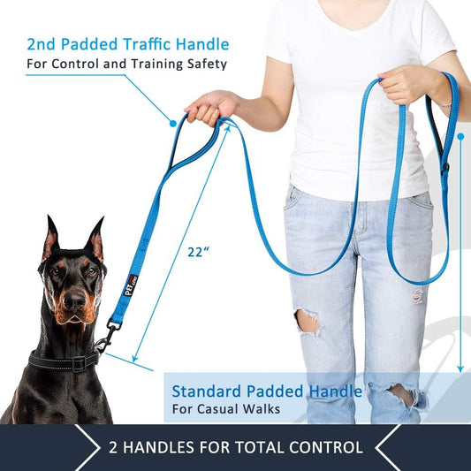 Plutus Pet Dog Leash 6ft Long,Traffic Padded Two Handle,Heavy Duty,Reflective Double Handles Lead for Control Safety Training,Leashes for Large Dogs or Medium Dogs,Dual Handles Leads(Light Blue)