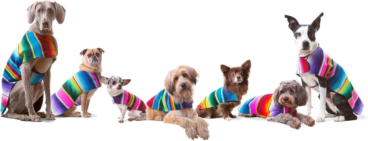 Dog Clothes - Handmade Dog Poncho from Authentic Mexican Blanket by Baja Ponchos (Blue, XXL)