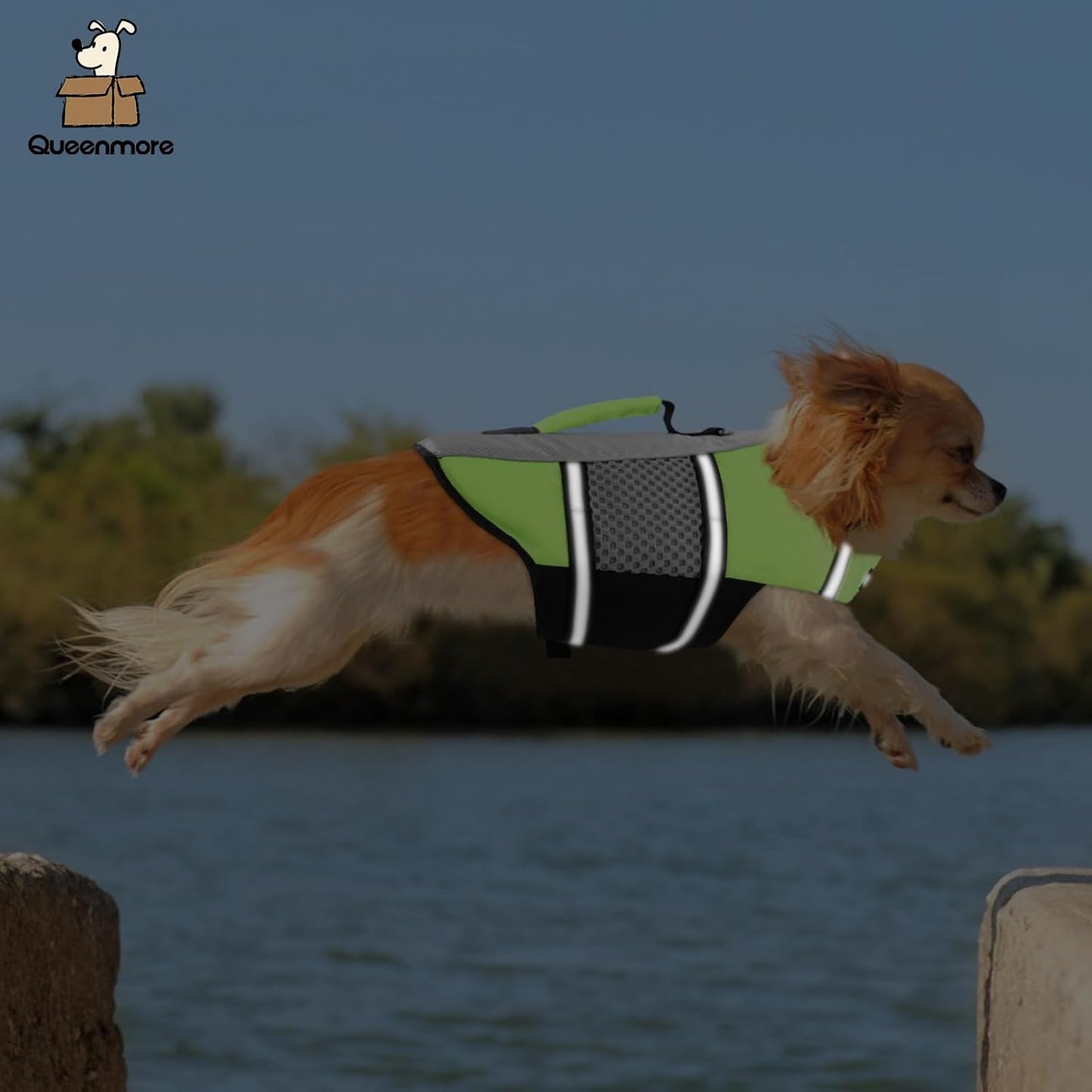 Queenmore Dog Life Jacket Small Float Vests for Swimming Boating Kayaking Mediumn Puppy Dogs Cats Neoprene Life Preserver Pet Water Lifesaver Lightweight Reflective Green,L