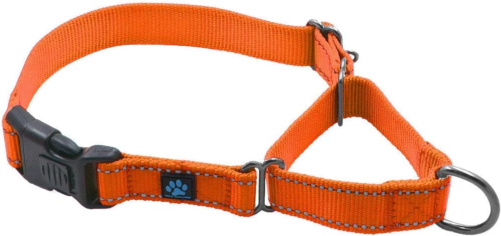 Max and Neo Nylon Martingale Collar - We Donate to a Dog Rescue for Every Collar Sold (Medium, Orange)