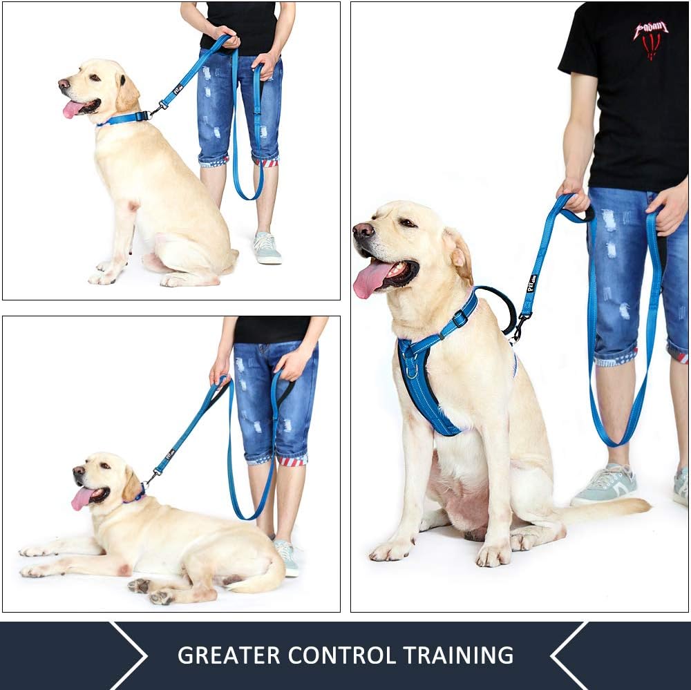 Plutus Pet Dog Leash 6ft Long,Traffic Padded Two Handle,Heavy Duty,Reflective Double Handles Lead for Control Safety Training,Leashes for Large Dogs or Medium Dogs,Dual Handles Leads(Light Blue)