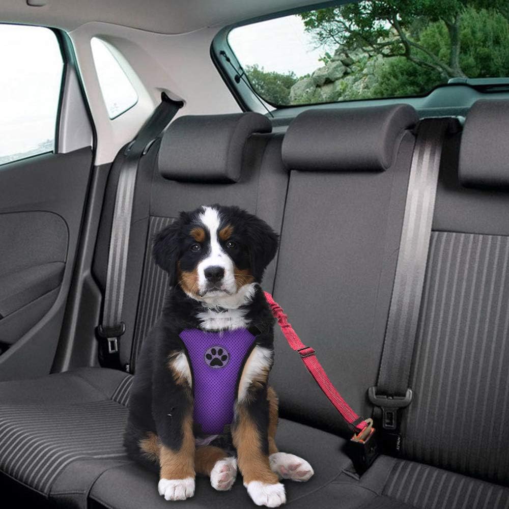 SlowTon Dog Seatbelt, 2 Pack Dog Seat Belt Car Leash Adjustable Elastic Bungee Buffer Heavy Duty Nylon Reflective Pet Safety Tether Connect to Dog Harness for Travel Riding in Vehicle Daily Use