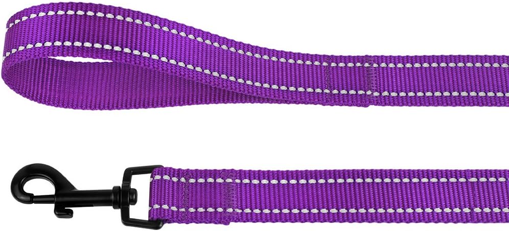 CollarDirect Dog Leash Durable Pet Leash for Walking Training Running for Small, Medium and Large (Reflective, Purple, L)