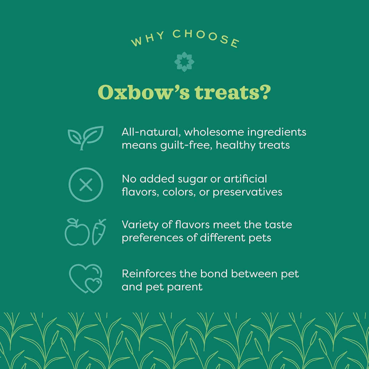 Oxbow Organic Barley Biscuits, Rabbit & Guinea Pig Treats, Organic Hamster & Bunny Treats with Barley, Apple & Carrot, Made in USA, Small Pet Supplies, 2.65 oz Bag