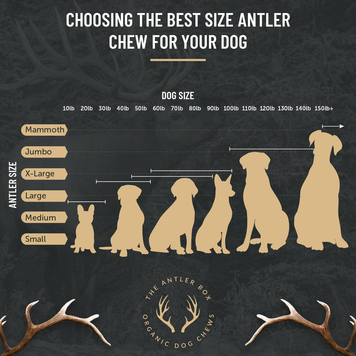 The Antler Box Premium Elk Antler Dog Chews (1 Pound Box) (Small (7-8 Pieces) Whole/Split Mixed)