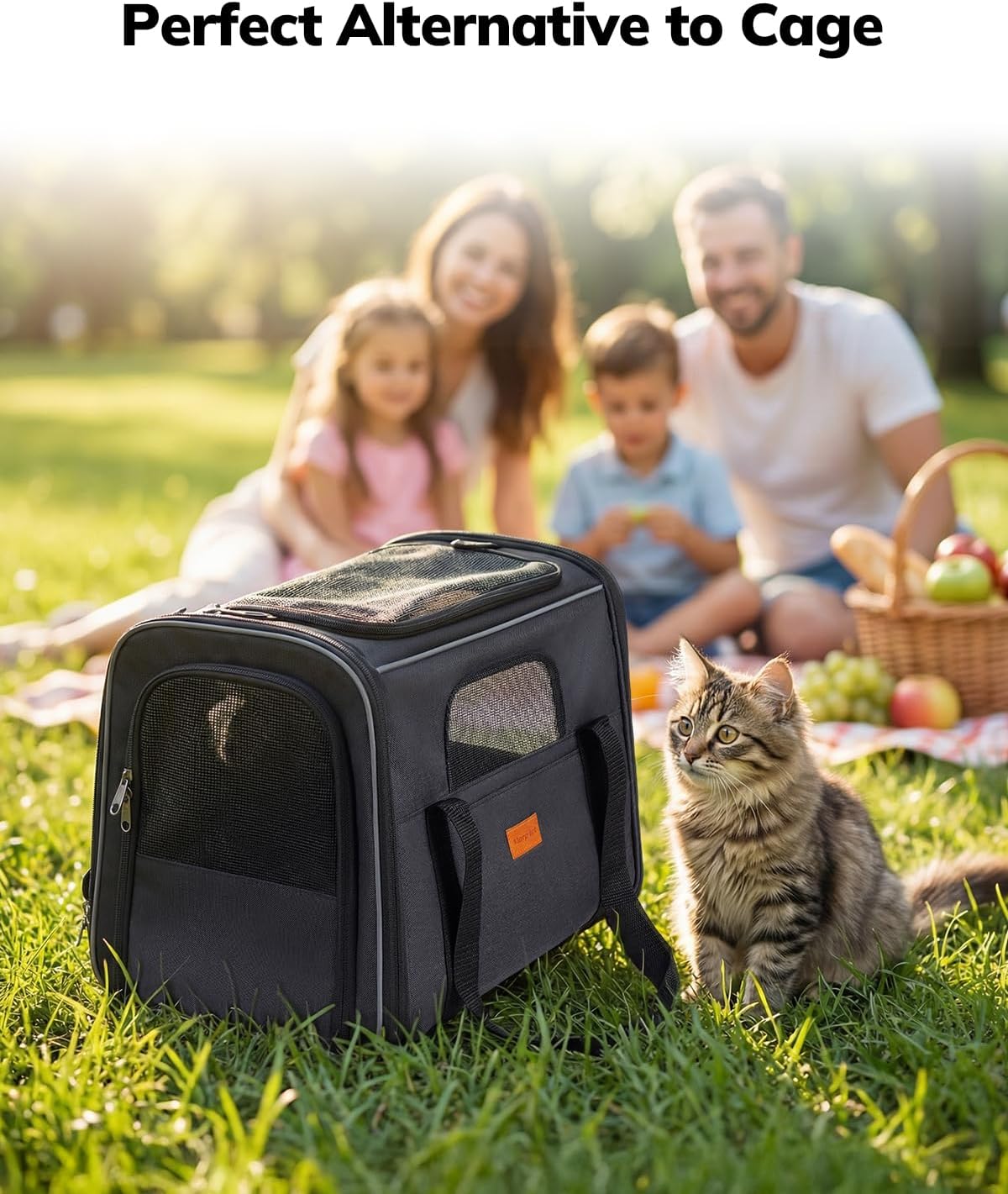 Morpilot Cat Carrier - Cat Carrier Soft for Medium or Large Cats up to 20lbs, with Dual-Sided Cushion, Secure Buckle and Foldable Bowl, Dog Carriers for Small Dogs - Pet Carrier (Dark Gray)