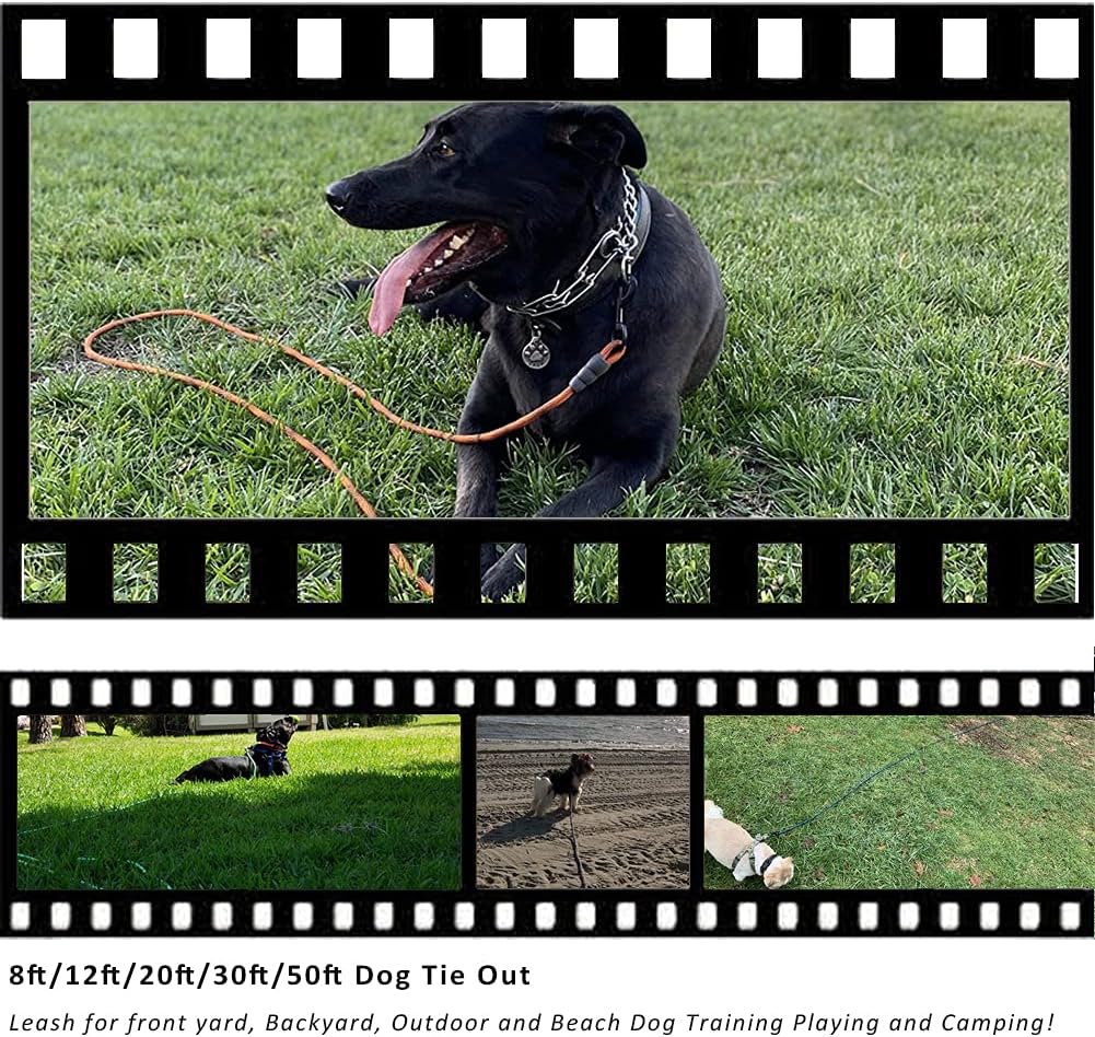 BTINESFUL Tie-Out Check Cord Long Rope Dog Tether, 8ft 12ft 20ft 30ft 50ft Dog Lead for Yard, Large Medium Dogs Oudoor Training, Playing, Camping, or Backyard (30ft, Beige Black)