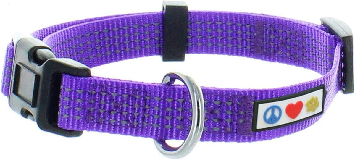 Pawtitas Reflective Dog Collar with Stitching Reflective Thread | Reflective Dog Collar with Buckle Adjustable and Better Training Great Collar for Small Dogs