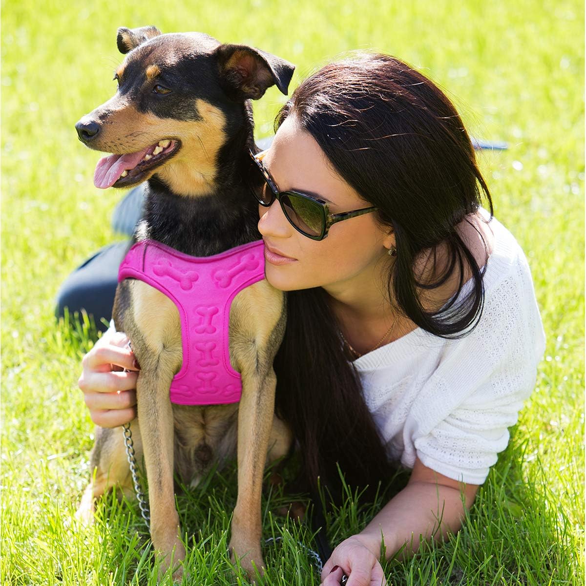 Comfort Fit Dog Harness Soft Padded No Pull Harness with Adjustable Buckles for Small Medium Large Dogs Step in Pet Vest with Easy Control Handle for Walking Jogging Running Training Dogs & Puppies