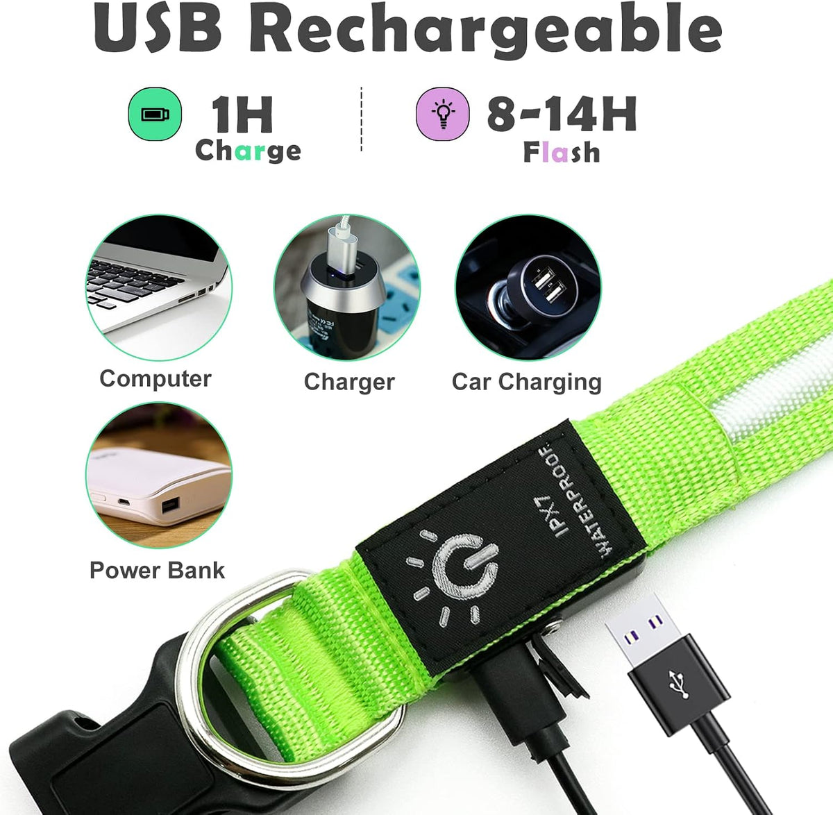 PetIsay Waterproof LED Dog Collar, USB Rechargeable Light Up Pet Collars, Reflective Glowing Flashing Safety Puppy Leash Dog Necklace for Small, Medium, Large Dogs
