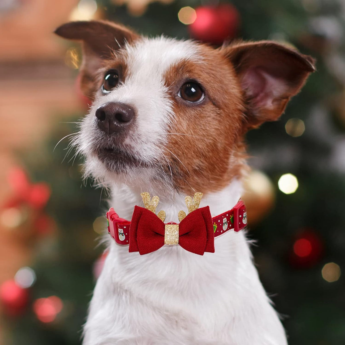 azuza Christmas Dog Collar Adjustable Xmas Dog Collars with Christmas Antler Bow tie Accessories Snowman Dog Collar for Medium Dogs