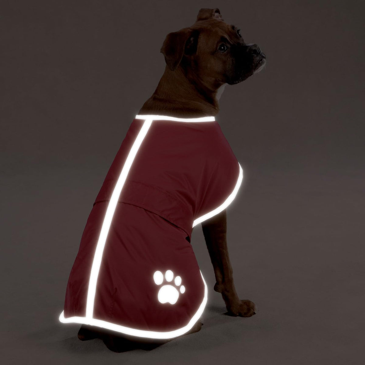 Zack & Zoey Polyester Nor'easter Dog Blanket Coat
